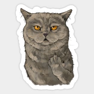 Cat middle finger Sticker